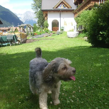 Appartamenti Residence Montana-2